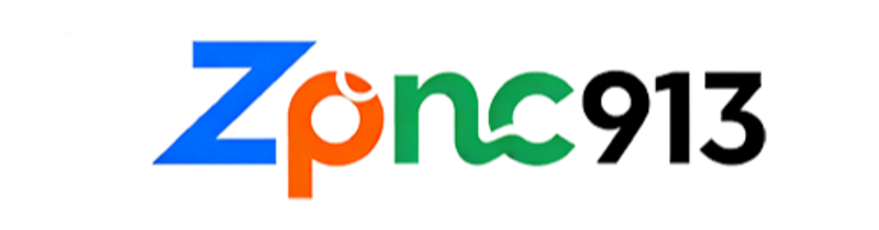 Zpnc913 — 专业视频会员销售平台